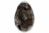 Septarian Dragon Egg Geode - Black Crystals #305799-1